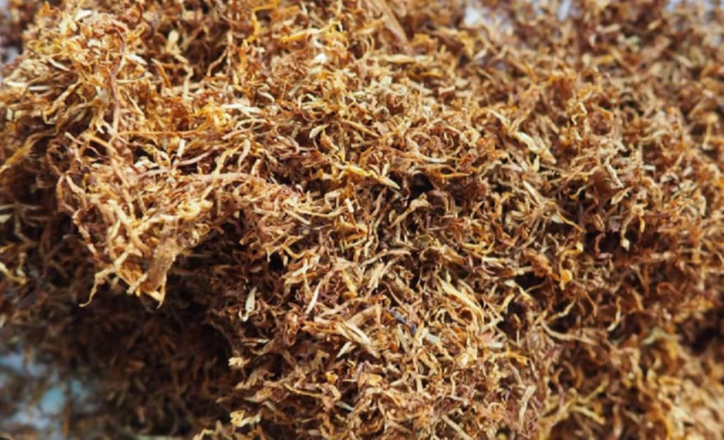 Close-up of cut rag tobacco strands